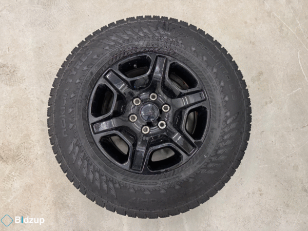 Ford Raptor 17" Dubbade vinterhjul