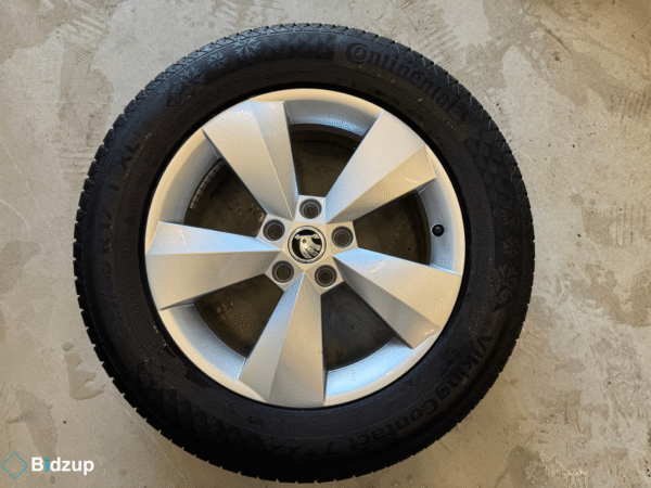 Skoda Kodiak 17" Odubbade Vinterhjul