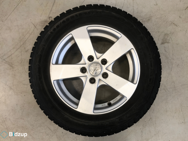 15" Dubbade Vinterhjul 5x100