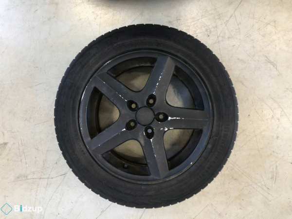 Volkswagen Passat Dubbade vinterhjul