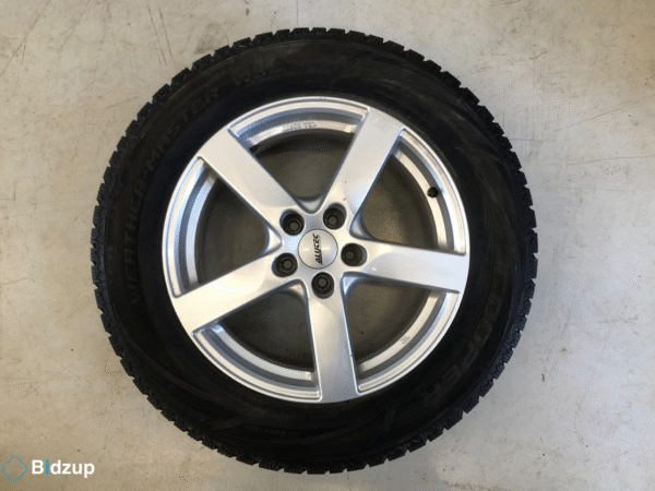 17" Dubbade Vinterhjul 5x100